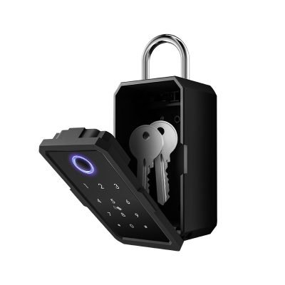 Caja de llaves IBINTEL VALERIA V1 para Airbnb