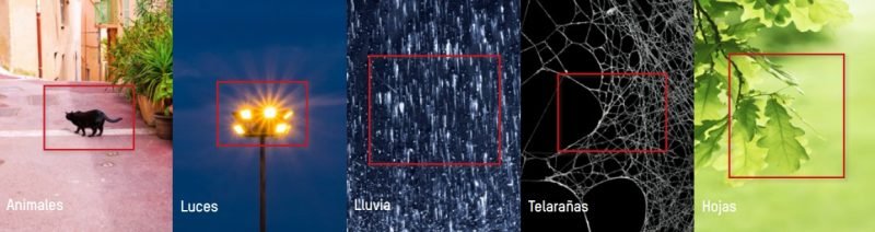 Filtrado de falsos eventos con Motion Detection 2.0