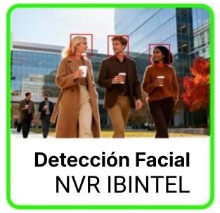 Detección inteligente en el NVR IBINTEL PISA