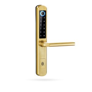 Manilla inteligente IBINTEL ELVIA E1 Oro