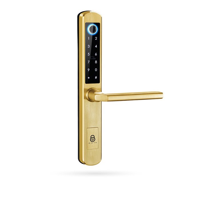 Manilla inteligente IBINTEL ELVIA E1 Oro
