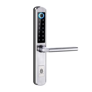 Manilla inteligente IBINTEL ELVIA E1 Plata
