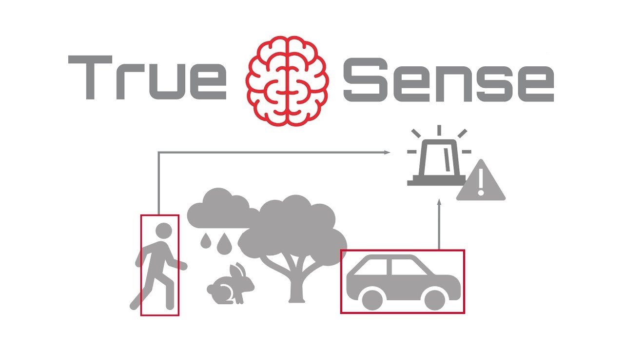 Detección inteligente de personas y vehículos